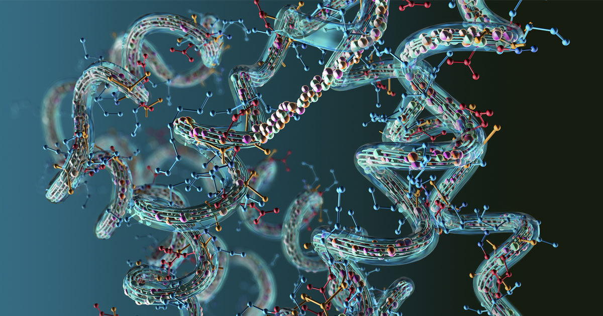  amino acid chain