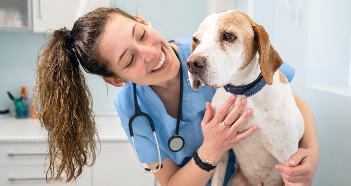 What Are Veterinary Compounding Pharmacies?