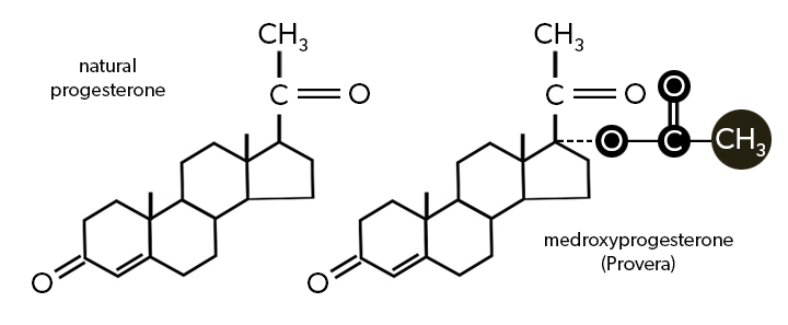 progesterone vs. provera