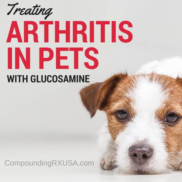 Using Glucosamine For Your Pet’s Arthritis