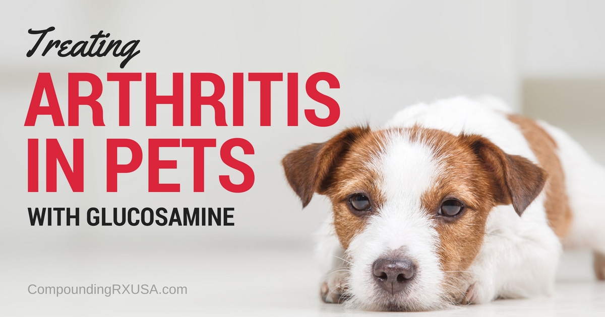 Using Glucosamine For Your Pets Arthritis