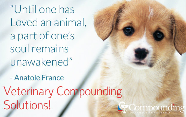 Compounding Spotlight: Veterinary Compounding